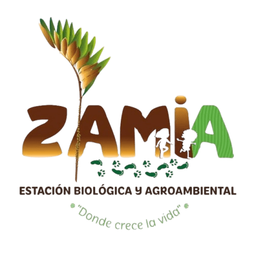 Zamia Logo